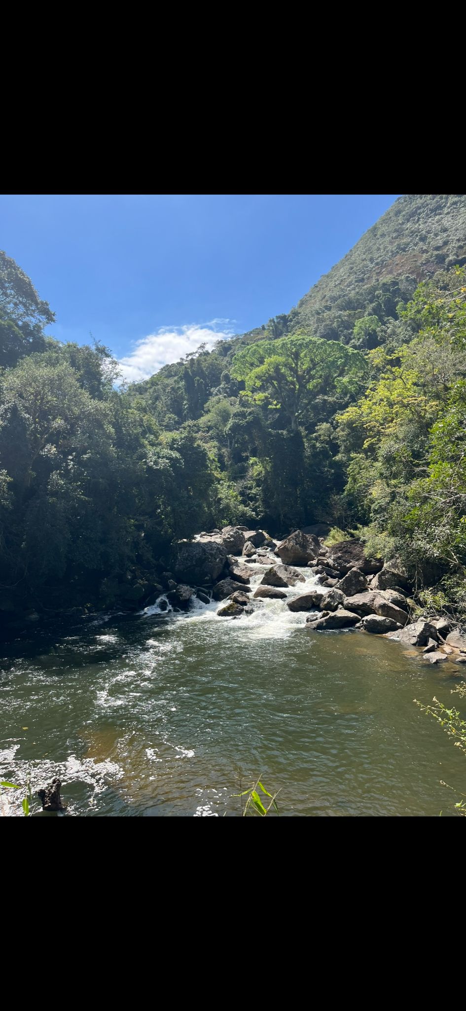 Mata Atlântica